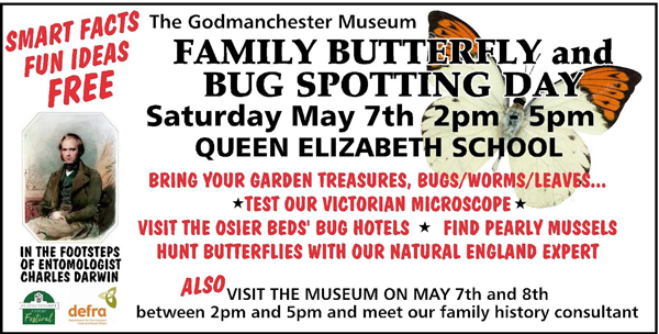 Godmanchester Museum Butterflies